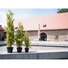 Kép 5/8 - EUROPALMS Cypress, Leyland, artificial plant,  90cm