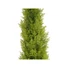Kép 2/5 - EUROPALMS Cypress, Leyland, artificial plant,  120cm