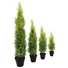 Kép 4/5 - EUROPALMS Cypress, Leyland, artificial plant,  120cm
