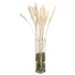 Kép 3/3 - JOLIPA Pampas Grass Straw Bunch, dried, natur, 75cm