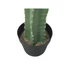 Kép 2/8 - EUROPALMS Mexican Cactus, artificial plant, green, 97cm
