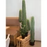 Kép 4/8 - EUROPALMS Mexican Cactus, artificial plant, green, 97cm