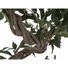 Kép 2/3 - EUROPALMS Ficus Multiple Spiral Trunk, artificial plant, green, 130cm