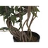 Kép 3/3 - EUROPALMS Ficus Multiple Spiral Trunk, artificial plant, green, 130cm