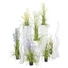 Kép 4/8 - EUROPALMS Design vase WAVE-100, white