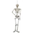 Kép 2/5 - EUROPALMS Halloween Skeleton, 150 cm