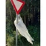 Kép 8/8 - EUROPALMS Halloween Witch, white, 170x50x20cm