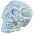Kép 2/3 - EUROPALMS Halloween Skull, 31x22x22cm