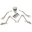 Kép 1/2 - EUROPALMS Halloween Skeleton, multipart