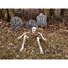 Kép 2/2 - EUROPALMS Halloween Skeleton, multipart