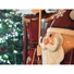 Kép 4/8 - EUROPALMS Santa Claus, Metal, 195cm, red