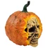 Kép 2/8 - EUROPALMS Halloween Skull Pumpkin, 26cm