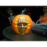 Kép 7/8 - EUROPALMS Halloween Skull Pumpkin, 26cm