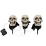 Kép 1/5 - EUROPALMS Halloween Skeleton Head with Stake, Set of 3, 29cm