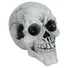 Kép 2/6 - EUROPALMS Halloween Skull, 3x