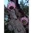 Kép 7/8 - EUROPALMS Halloween Eyeballs, 5cm Ø, 4x