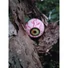 Kép 8/8 - EUROPALMS Halloween Eyeballs, 5cm Ø, 4x