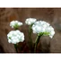 Kép 4/7 - EUROPALMS Hydrangea, white, with flowers, 100 LEDs