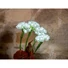 Kép 5/7 - EUROPALMS Hydrangea, white, with flowers, 100 LEDs