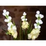 Kép 1/3 - EUROPALMS Arum set, 3 branches with LEDs white 85cm