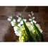 Kép 2/3 - EUROPALMS Arum set, 3 branches with LEDs white 85cm