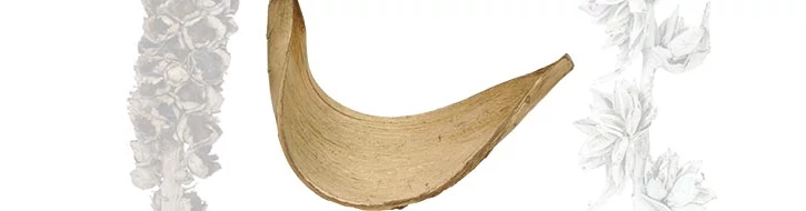 TERMÉSZETES ANYAGOK