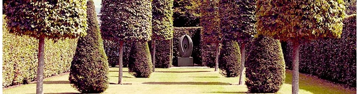 ALAKRA VÁGOTT FÁK ALAKRA VÁGOTT FÁK